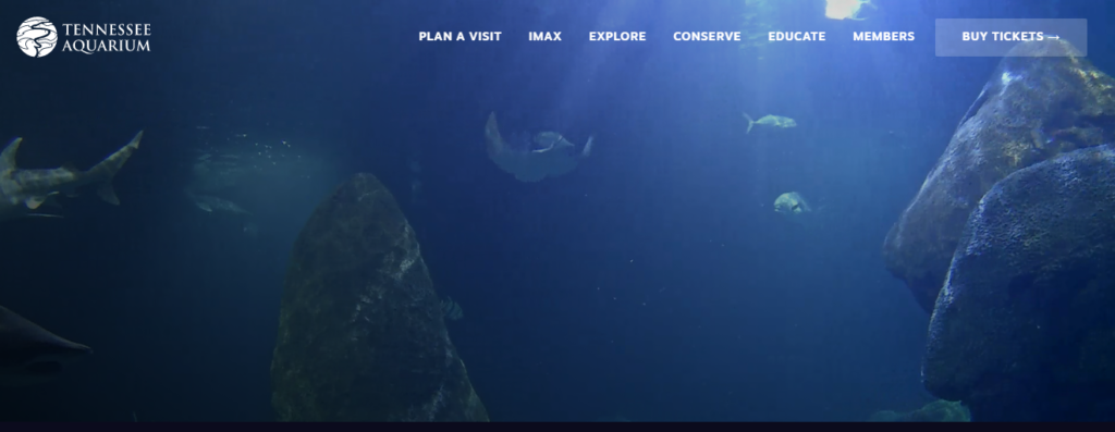 Tennessee Aquarium virtual field trip